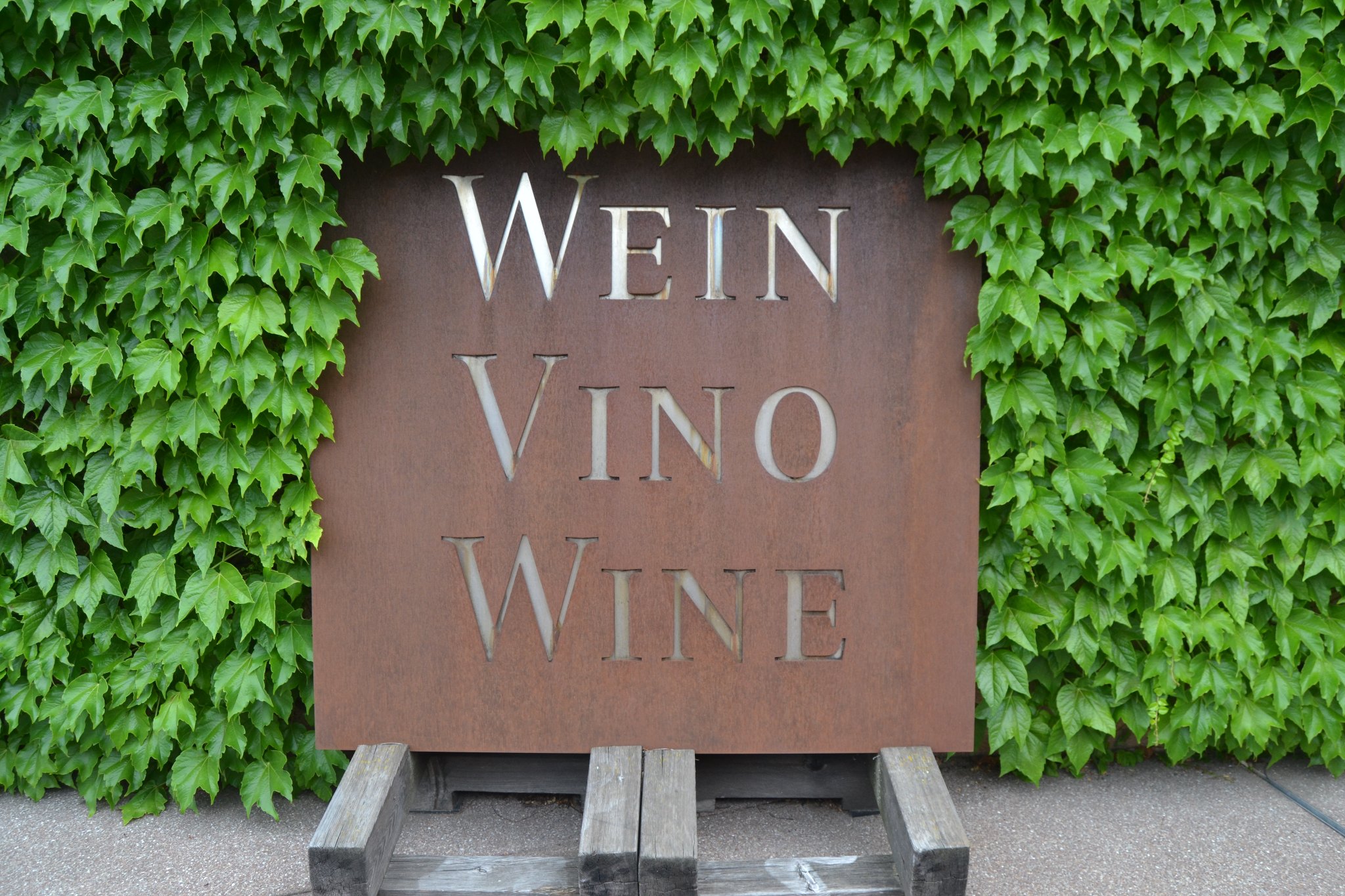 Qui tutti amano il vino, si intendono di vino, parlano di vino, siamo in Alto Adige