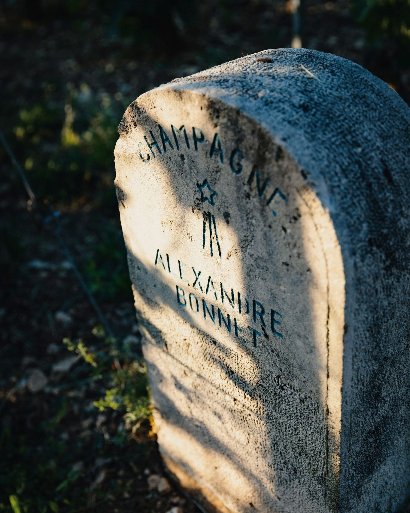 L’anima nascosta della Côte Des Bar svelata dal docu-film del Domaine Alexandre Bonnet
