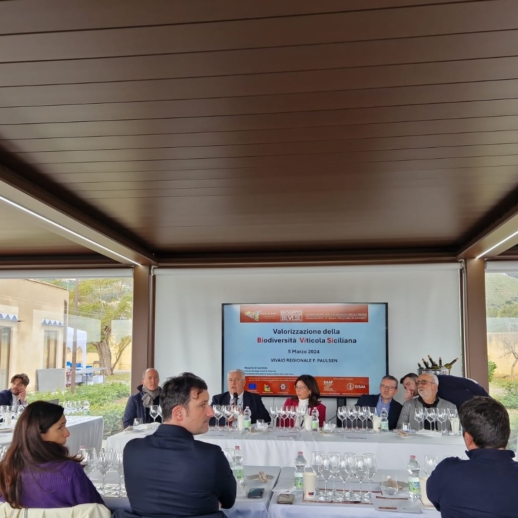 Il progetto Bi.Vi.Si. (Biodiversità Viticola Siciliana): ecco i vini del futuro