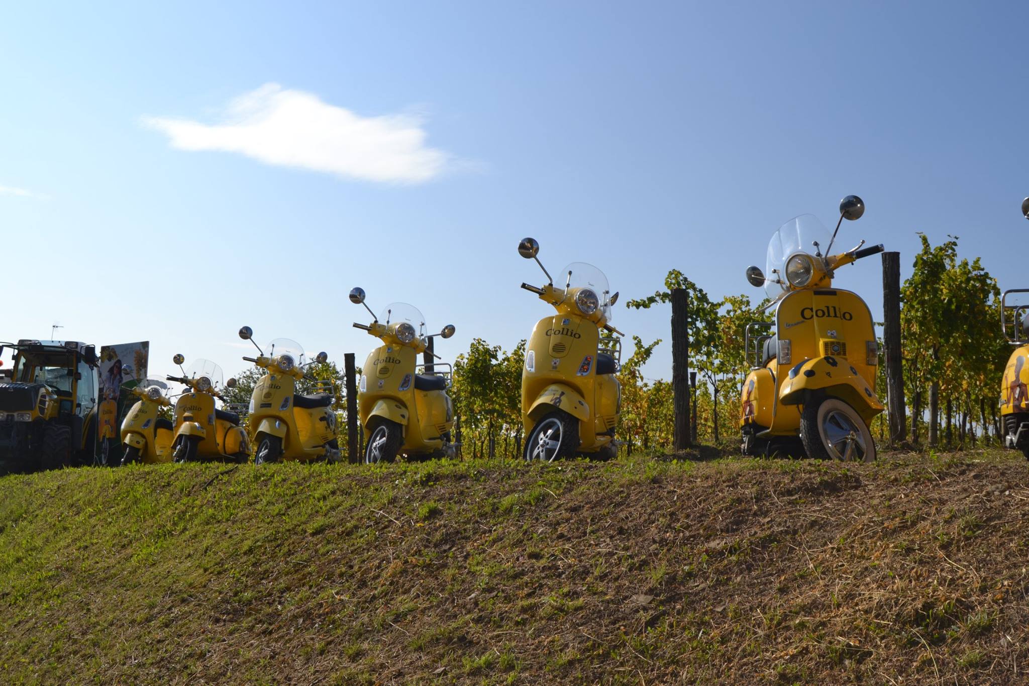 I sessant’anni del Consorzio Collio: Il Collio è vivo, evviva il Collio