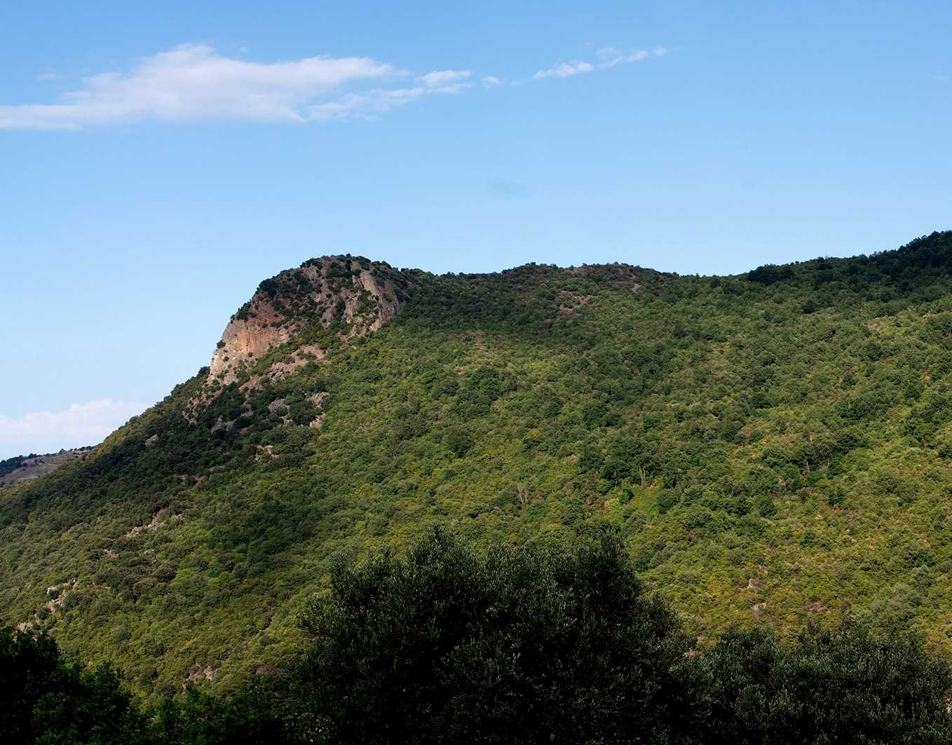 Il punto sul turismo rurale nella Sila Greca in occasione dei 10 anni del Biscardino