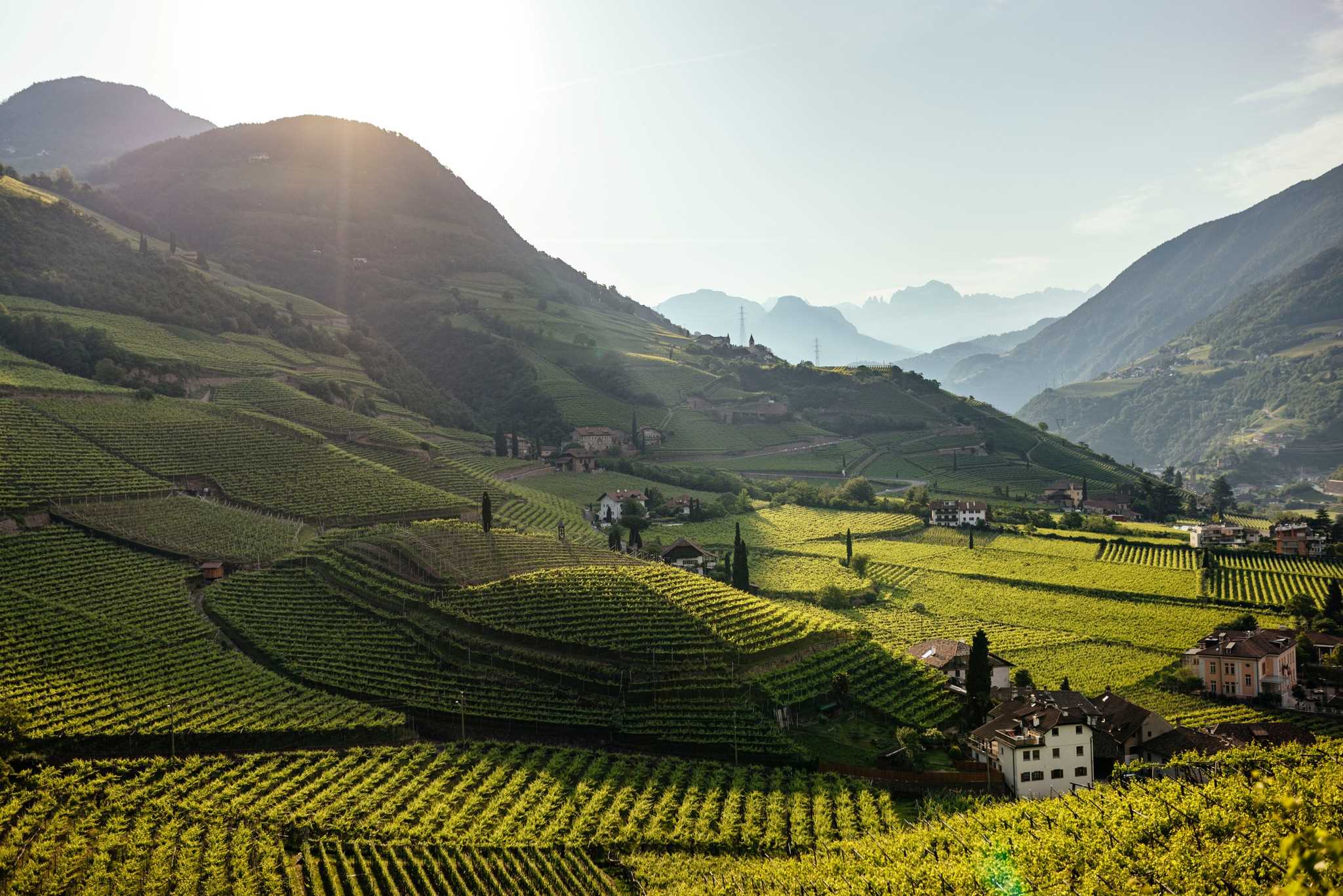 Identificate e riconosciute 86 Unità Geografiche Aggiuntive (UGA) in Alto Adige