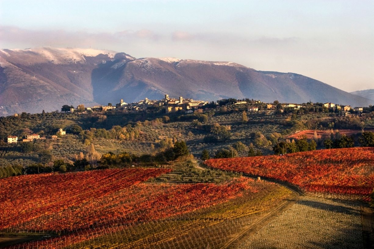 Vini umbri d’eccellenza: il progetto UmbriaTop Wines