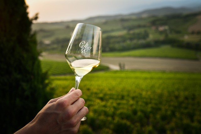 Nasce Collio Evolution, il nuovo appuntamento dedicato ai vini del Collio