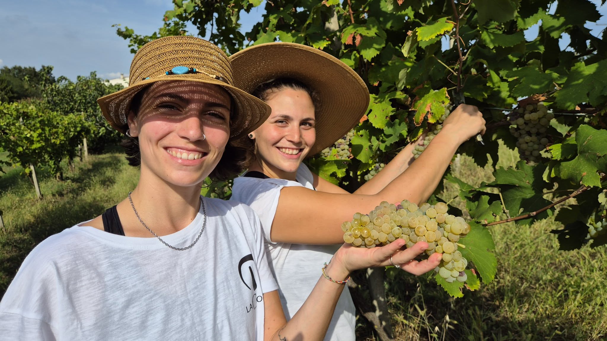Il futuro del vino è giovane: il percorso di Elisa e Gloria Campana