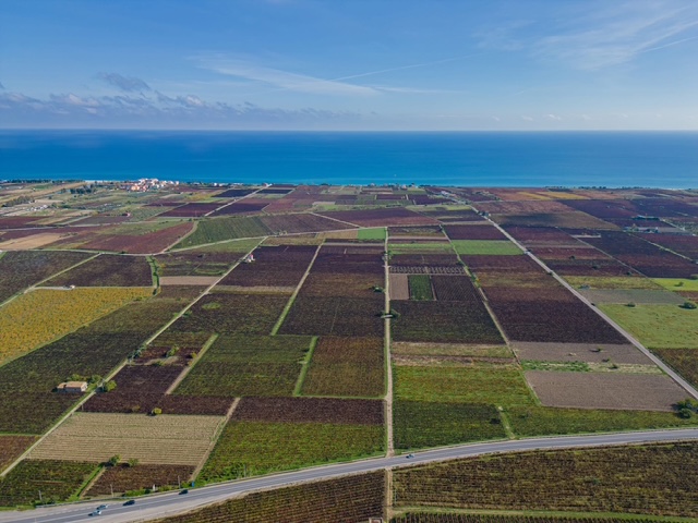 Un passaggio storico per il Cirò: verso la DOCG