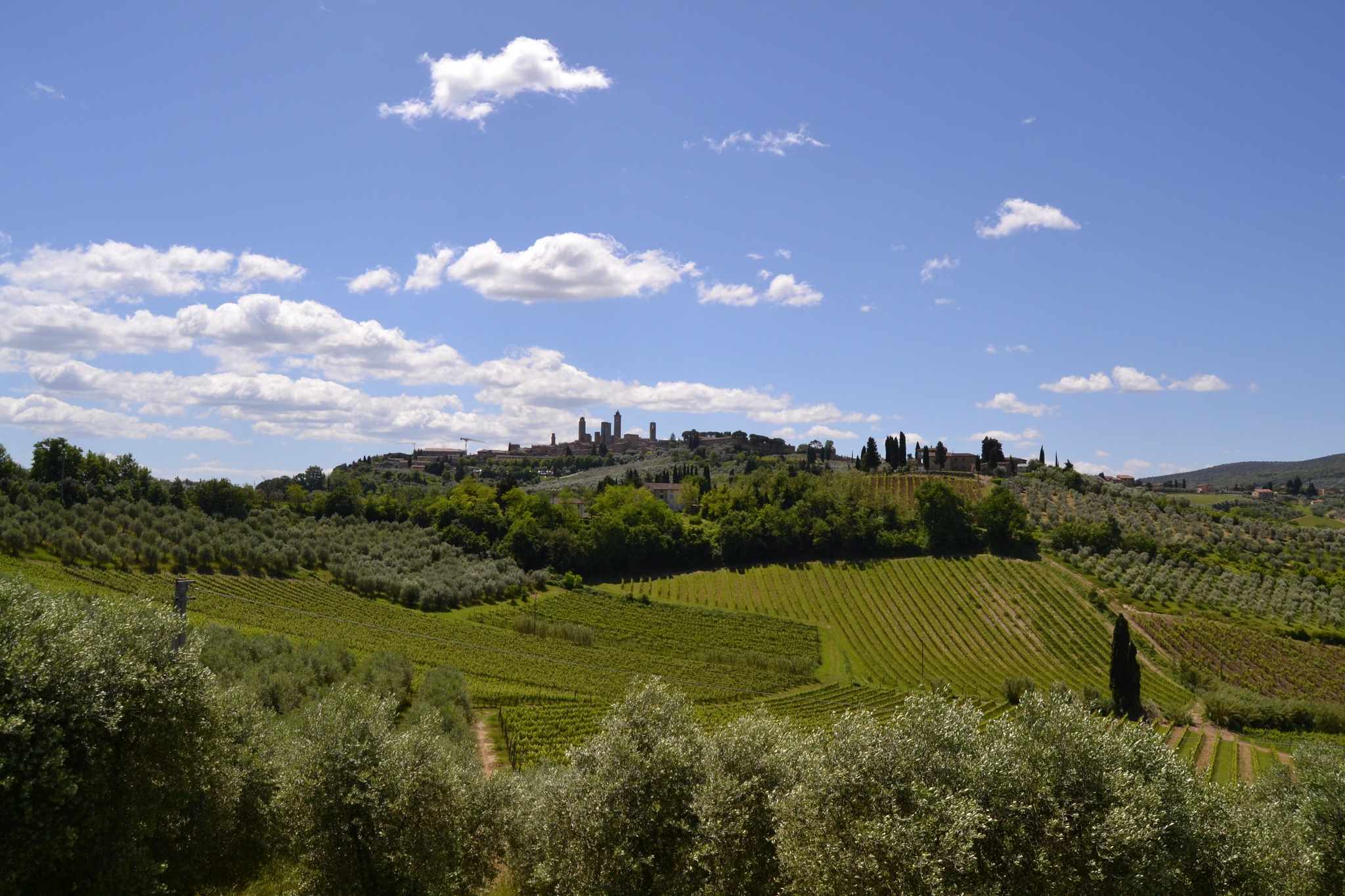 Vernaccia di San Gimignano, la regina ribelle torna a incantare