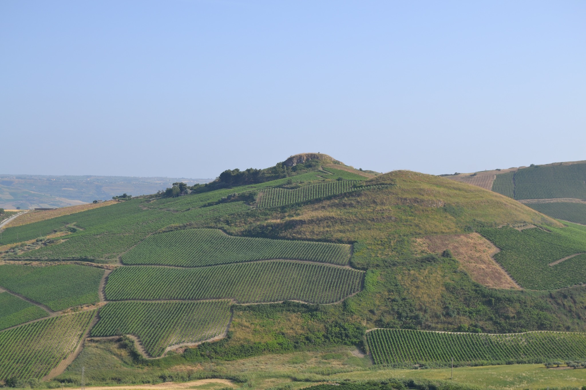 Sicily on Wine: un racconto di vino, territorio e relazione