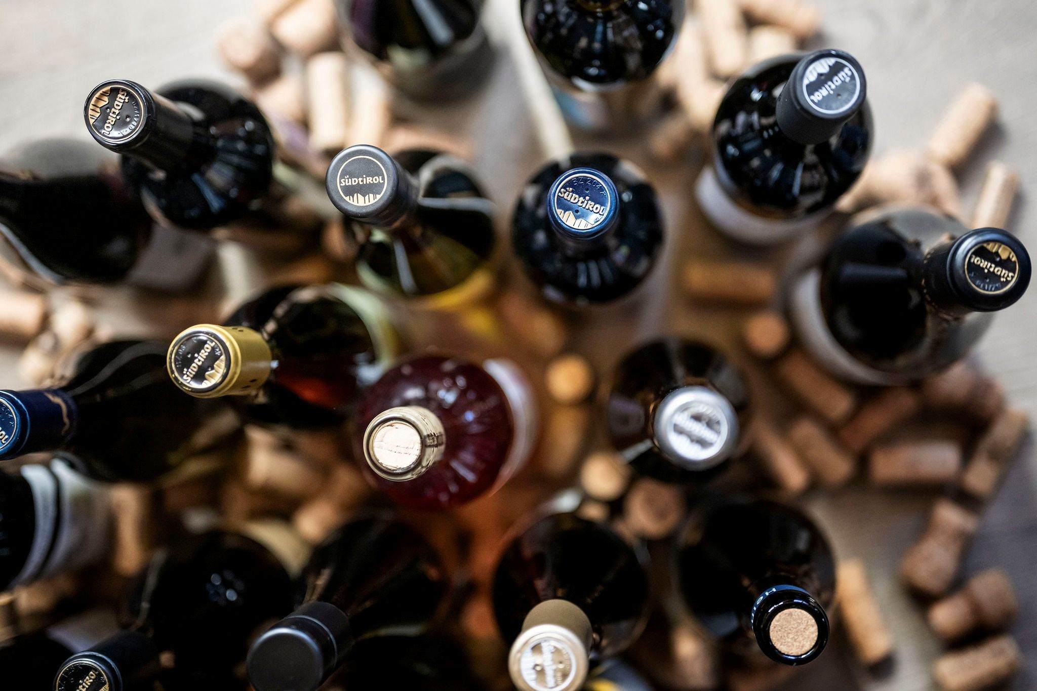 Alto Adige Wine Summit: un’occasione unica per esplorare l’eccellenza vinicola del territorio