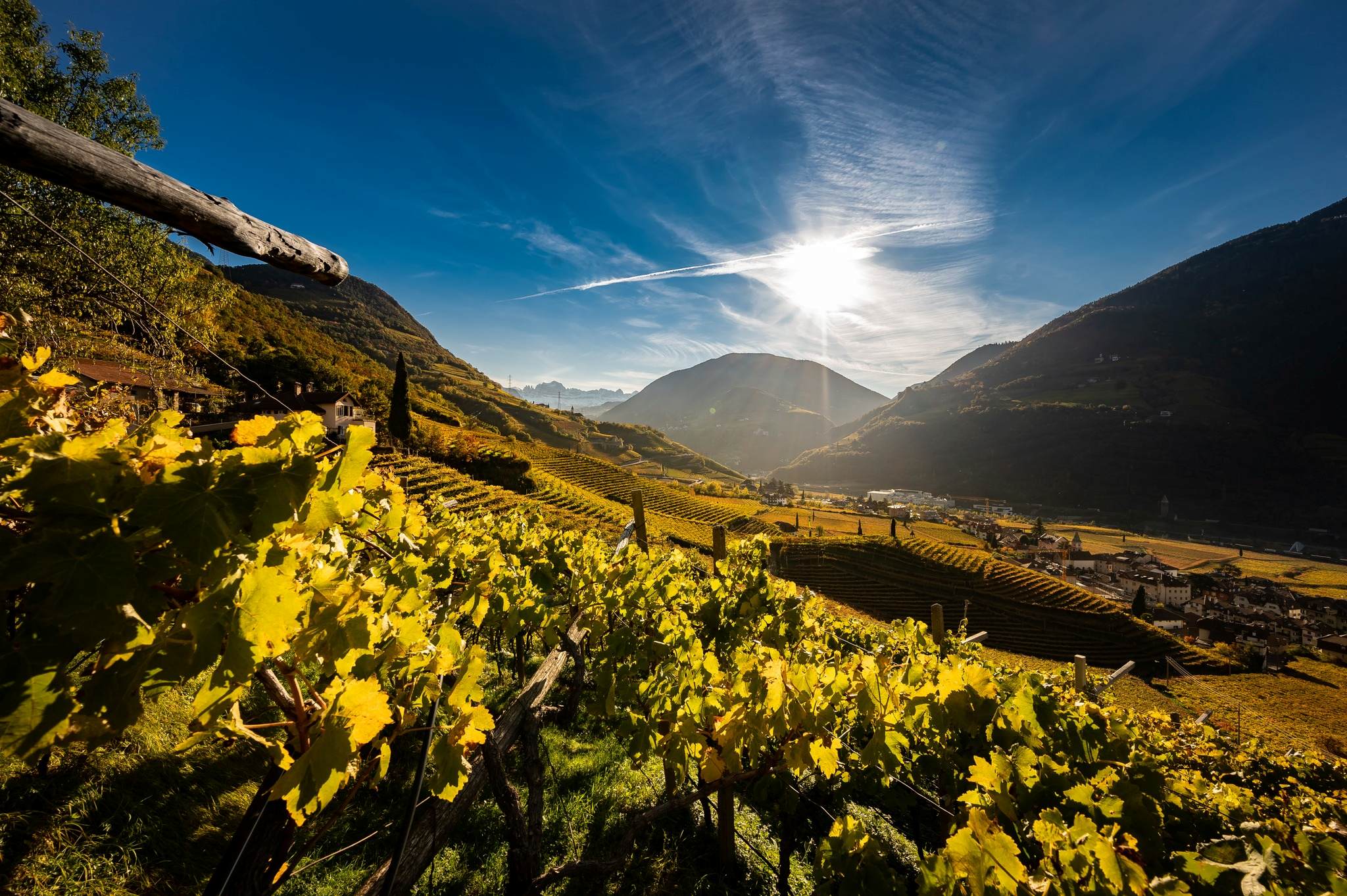 Erste+Neue: la forza silenziosa della comunità