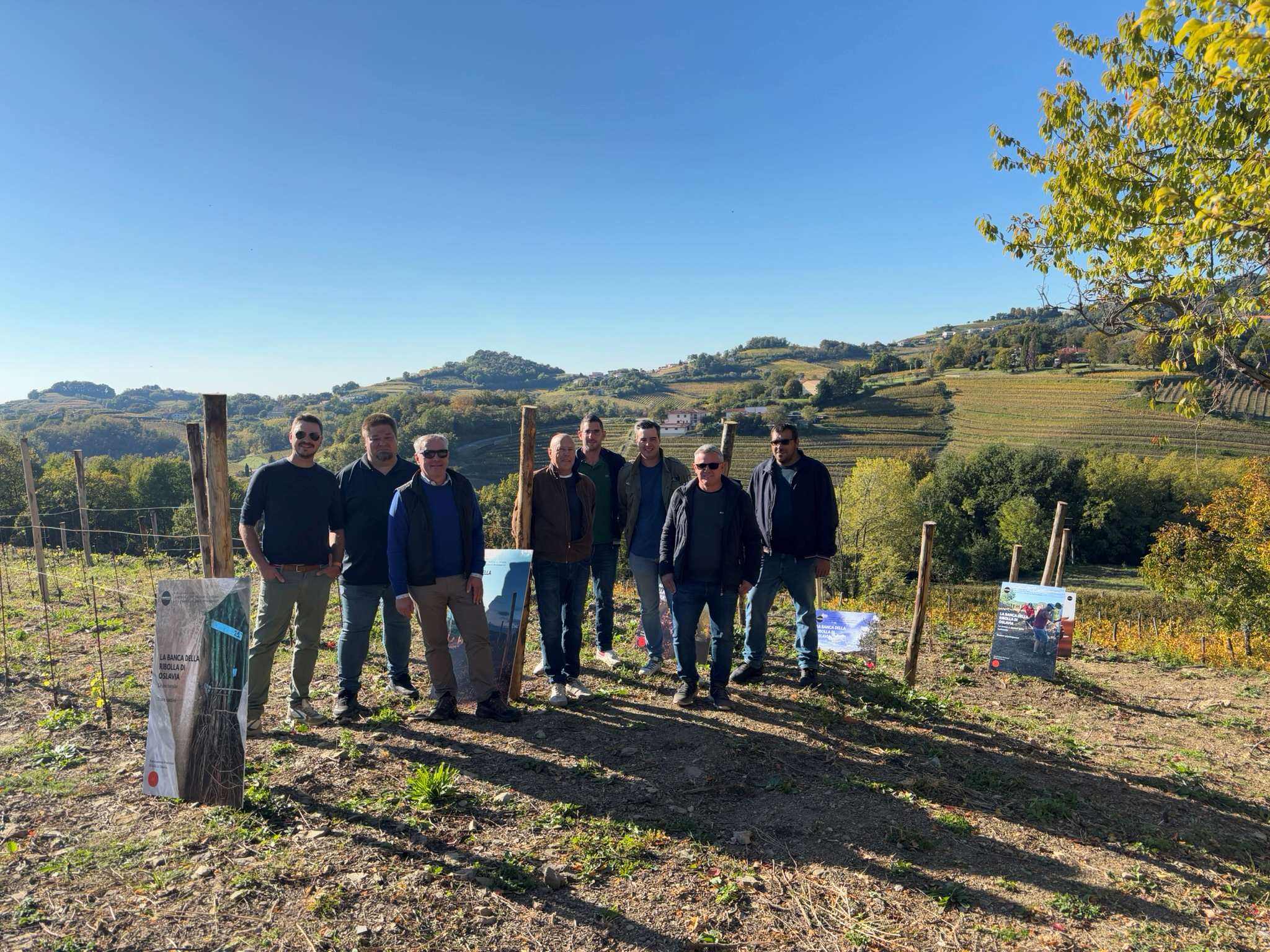 Oslavia: il colore della Ribolla e della memoria