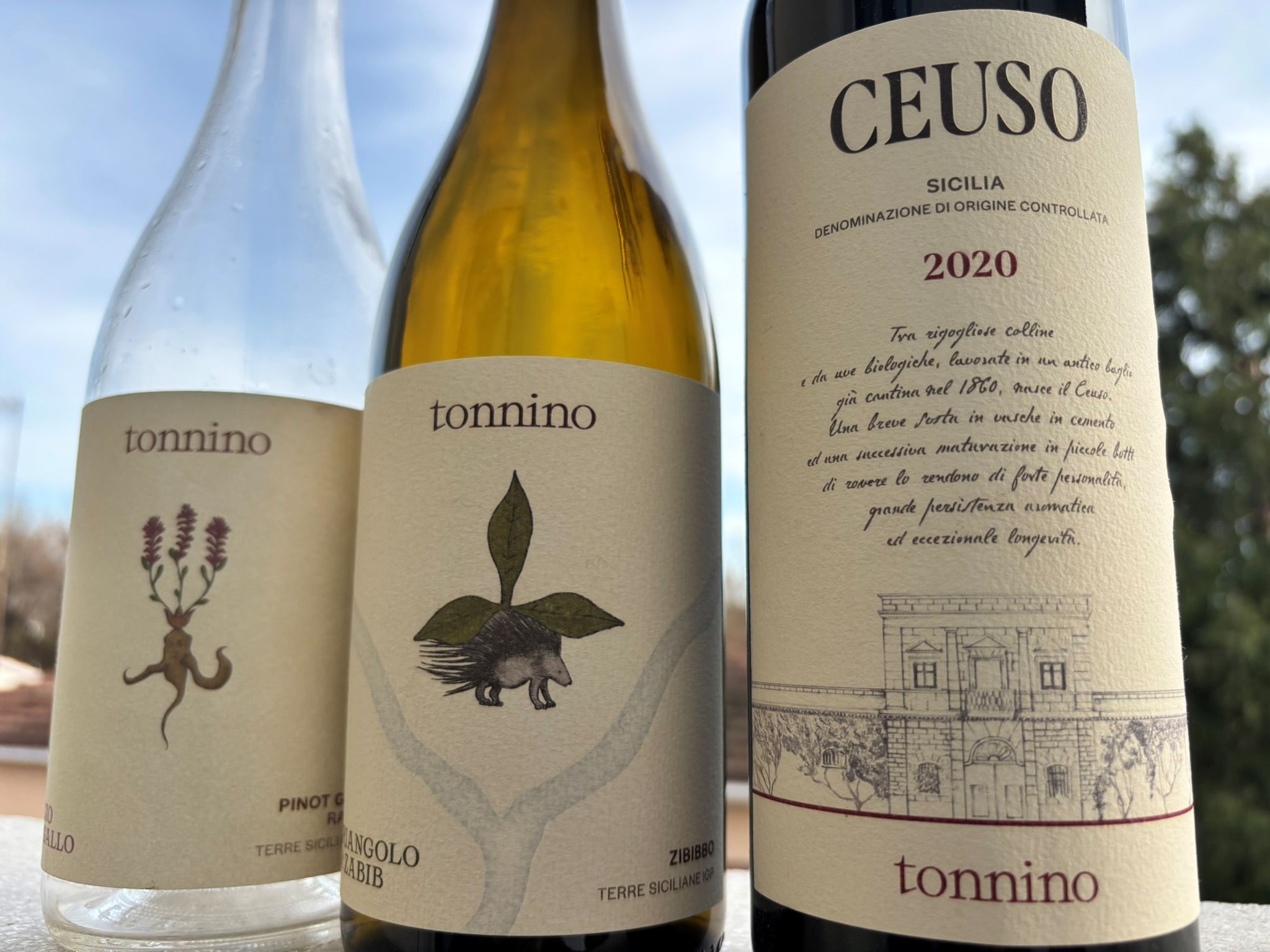 Ceuso e la visione di Giacomo Tachis: il racconto di Tonnino in Sicilia