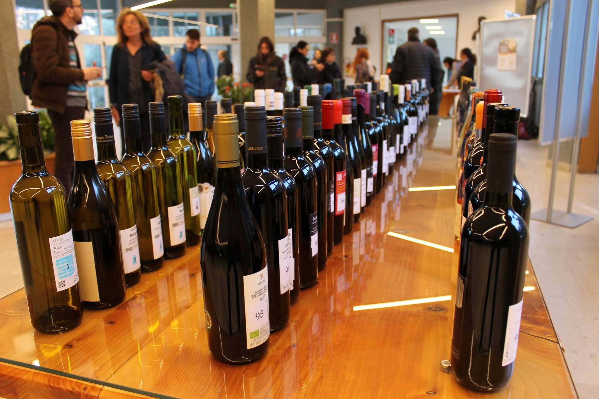 Vini resistenti, idee forti: cosa ci racconta davvero la rassegna PIWI di San Michele all’Adige