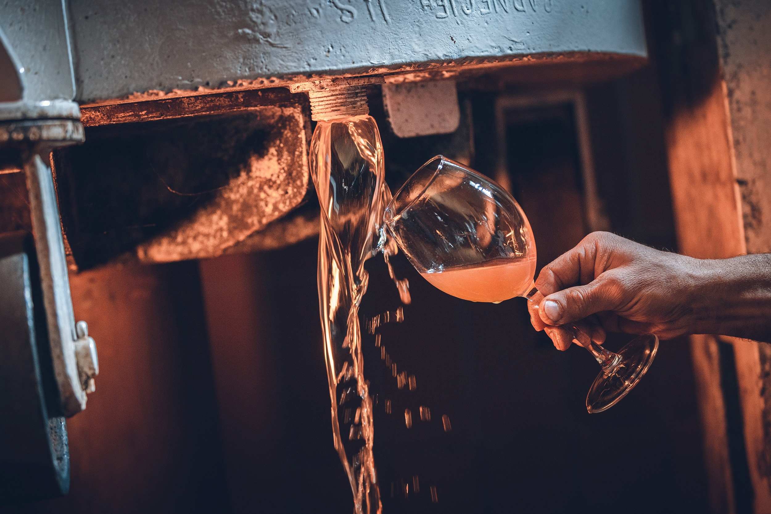 DiVinNosiola 2026: In Valle dei Laghi l’oro bianco del Trentino si fa cammino