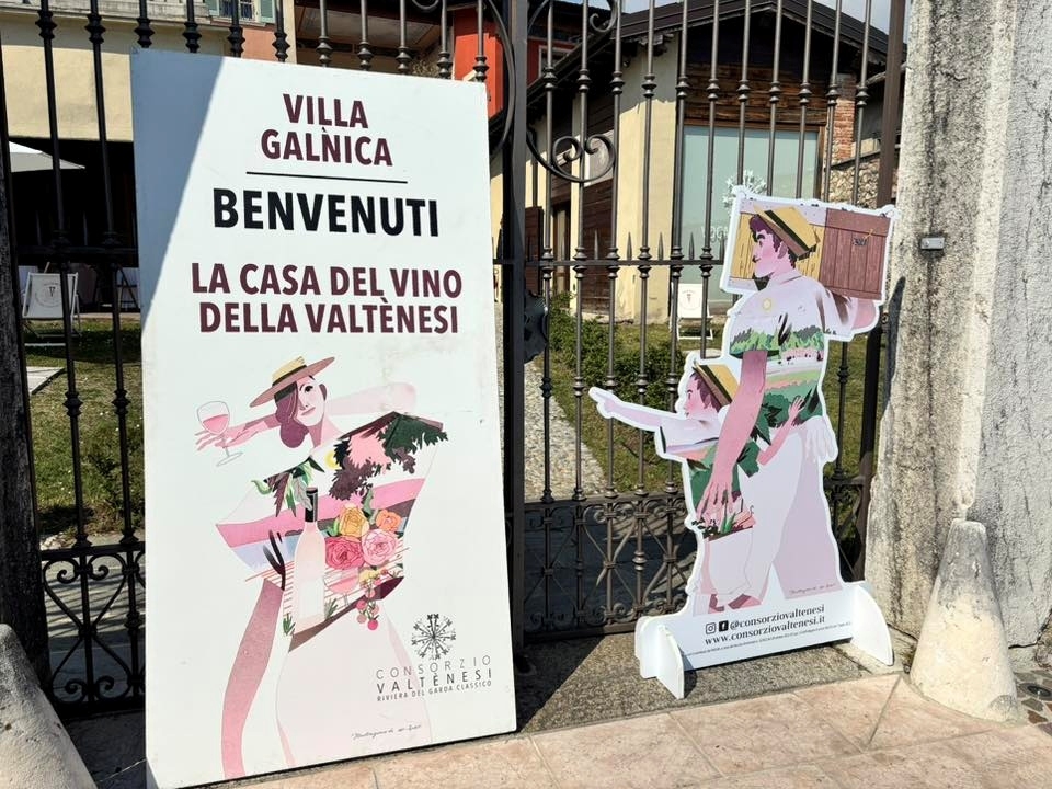 Valtènesi: l’evoluzione consapevole di un vino contemporaneo