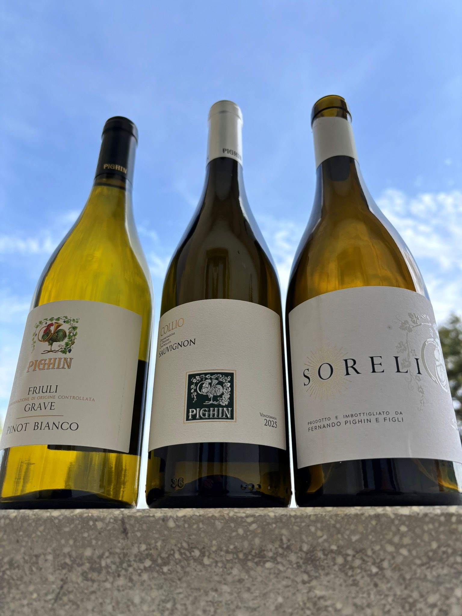 Pighin: l’ascesa delle Grave e l’anima del Collio nel futuro del Friuli